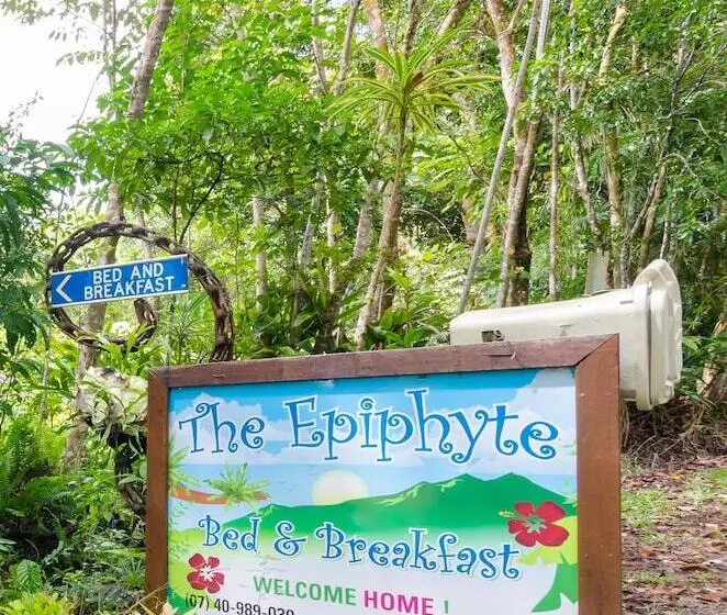 The Epiphyte Bed & Breakfast