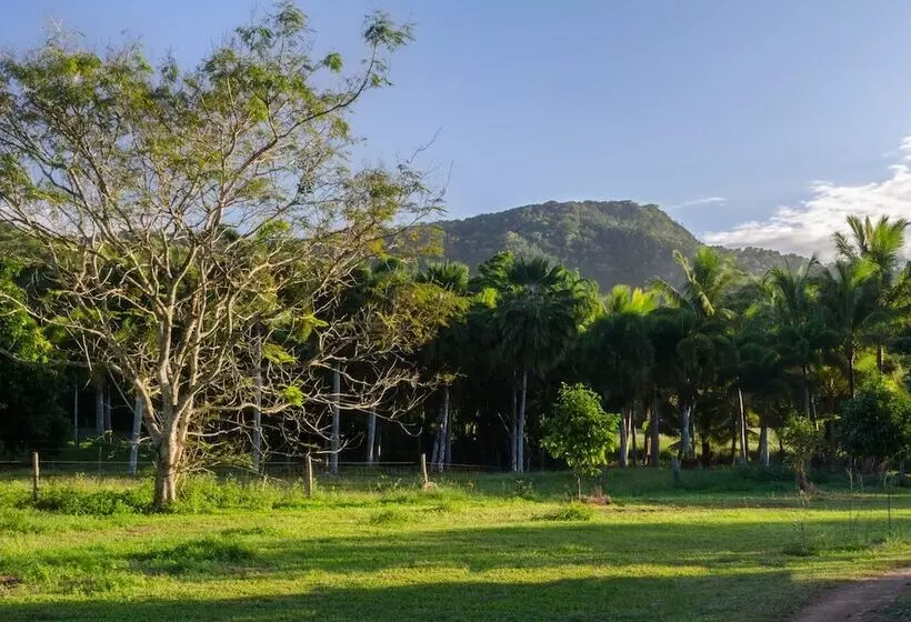 The Epiphyte Bed & Breakfast