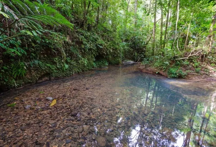 The Epiphyte Bed & Breakfast
