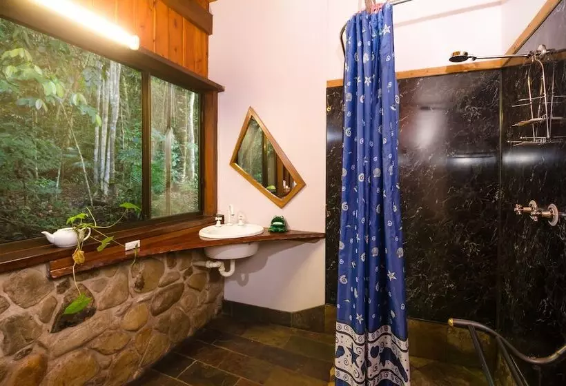 The Epiphyte Bed & Breakfast