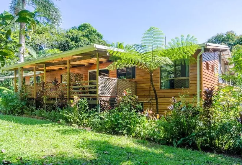 The Epiphyte Bed & Breakfast