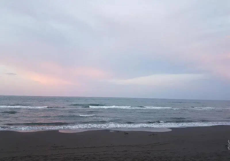 ホテル El Doral