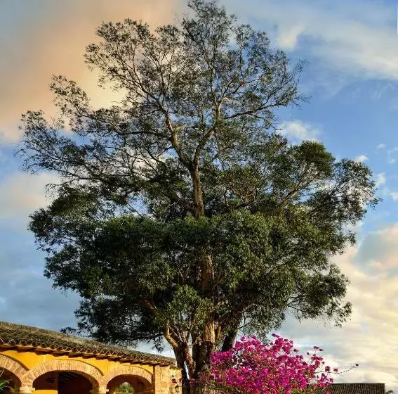 Hotel Hacienda El Salitre