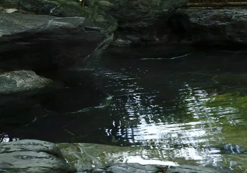 Hôtel Kyo Yunohana Resort Suisen