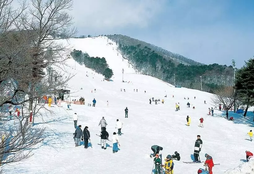 هتل Premium Green Hills