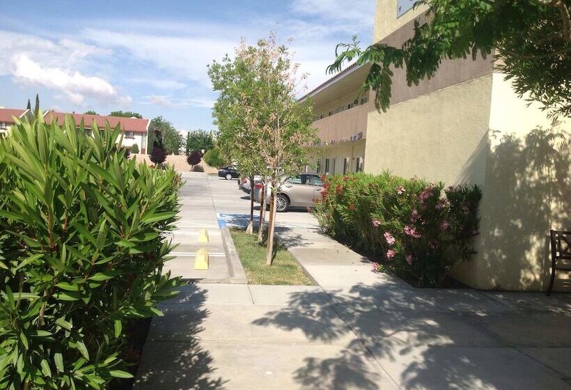 모텔 America Inn & Suites