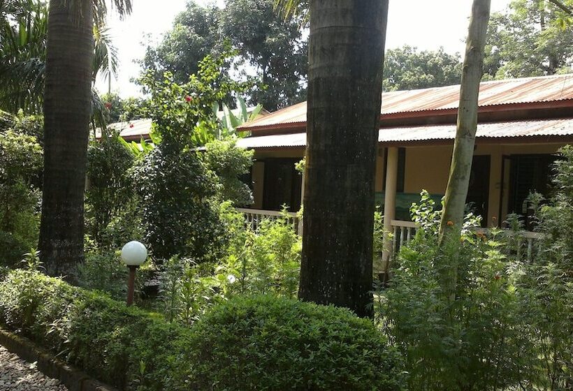 Sauraha Resort
