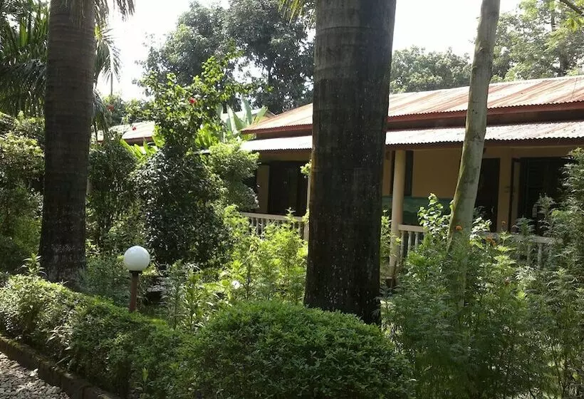 Sauraha Resort