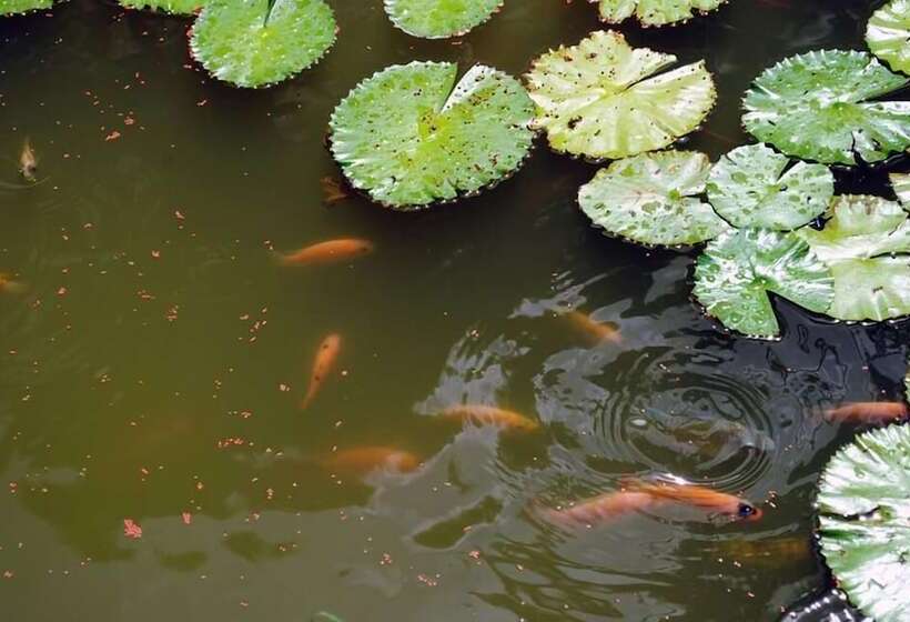 Adventure Eco Villas