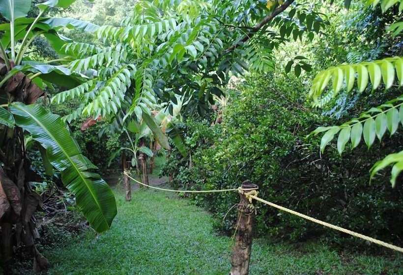 Adventure Eco Villas