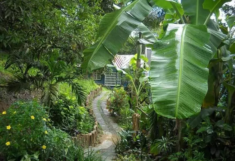 Adventure Eco Villas