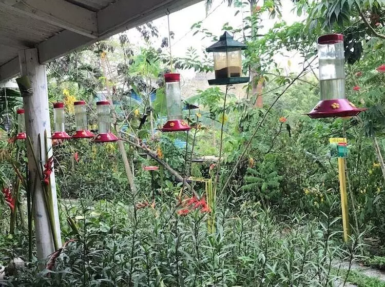 Adventure Eco Villas