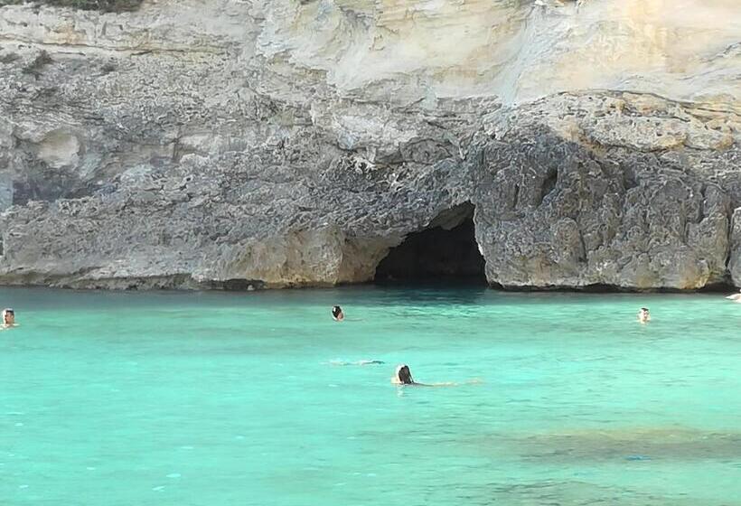 Aamiaismajoitus (B&B) Alba Chiara