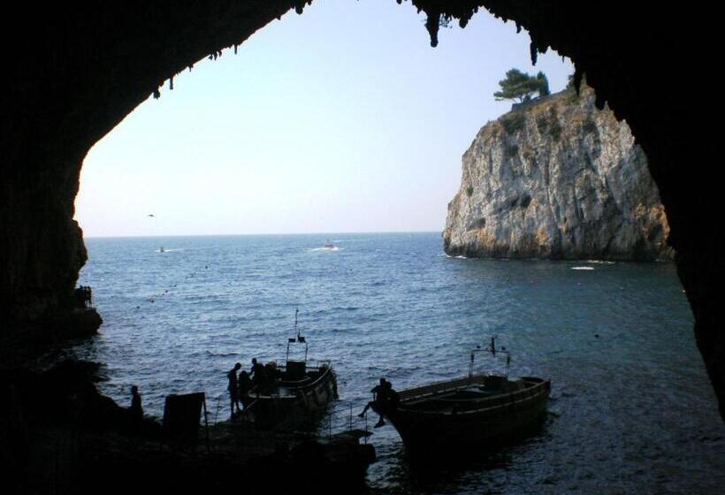 Aamiaismajoitus (B&B) Alba Chiara