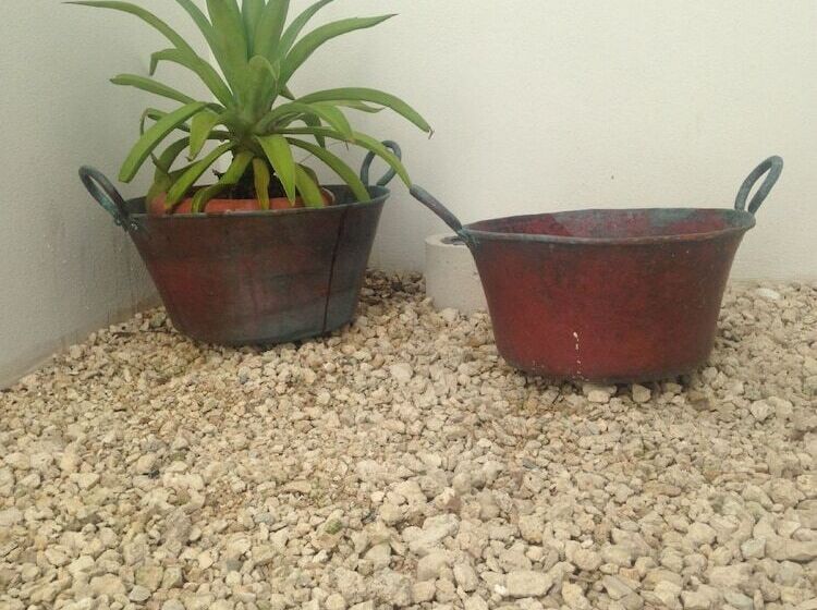 Bed and Breakfast Hostel Only 4 You