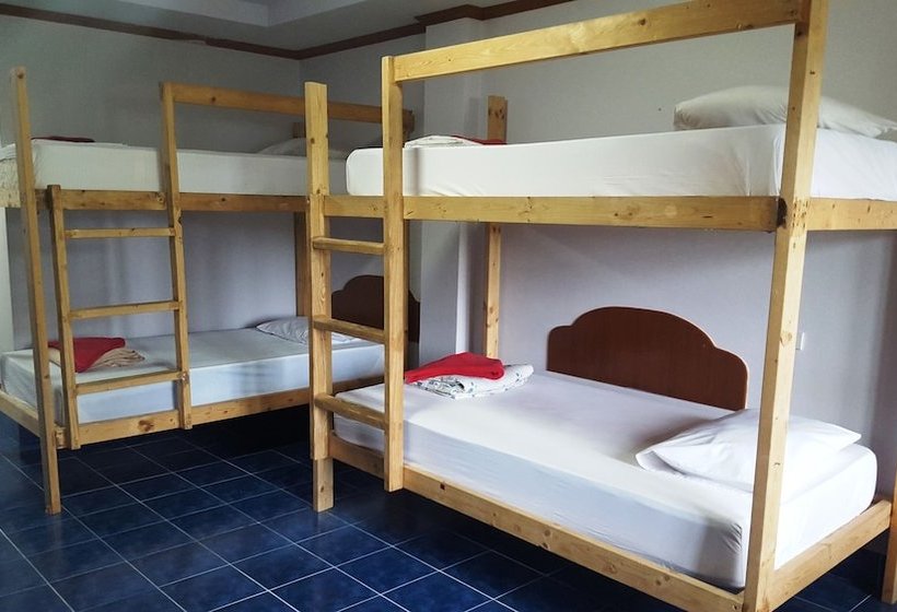 فندق صغير Coconut House Resort