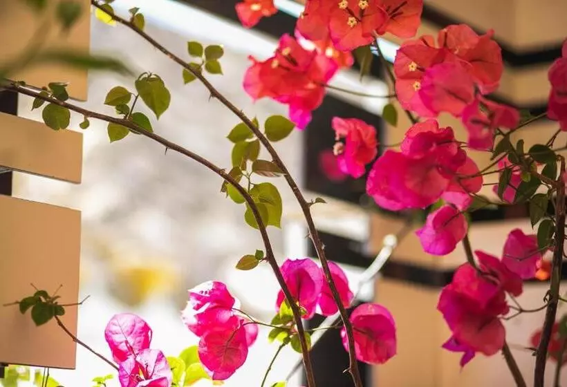 Hostal Boutique Patio Del Posadero