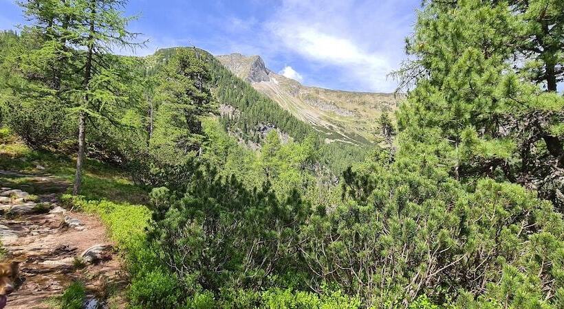 فندق Bad Hofgastein The Storks Adults Only Ski Opening 29 November