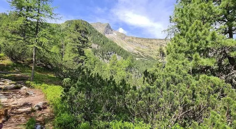 هتل Bad Hofgastein The Storks Adults Only Ski Opening 29 November