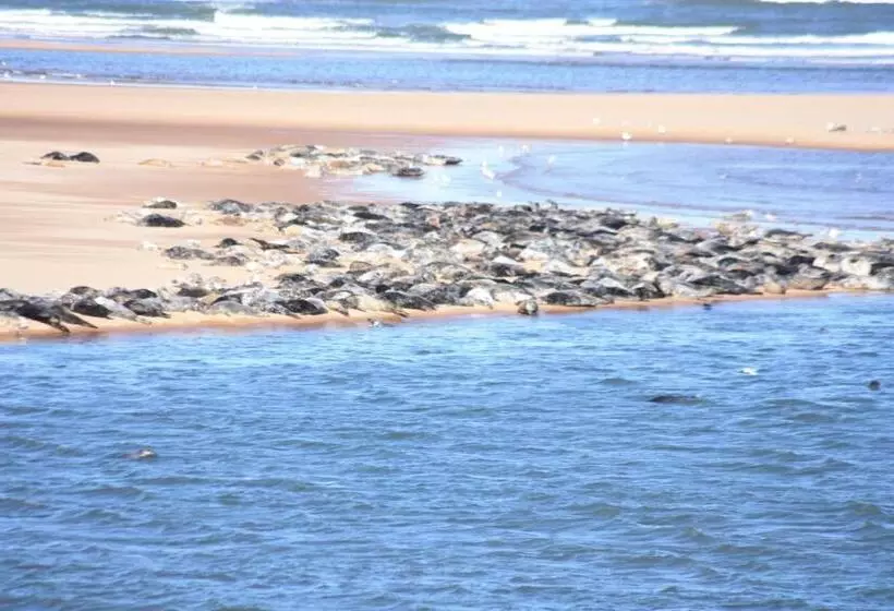 Отель Newburgh Inn