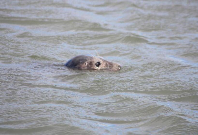 בית מלון כפרי Newburgh Inn