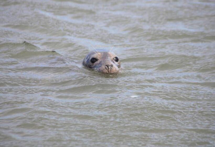 בית מלון כפרי Newburgh Inn