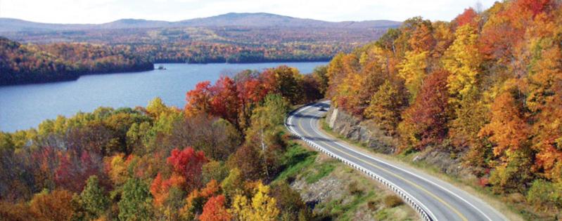 פנסיון The Sterling Inn