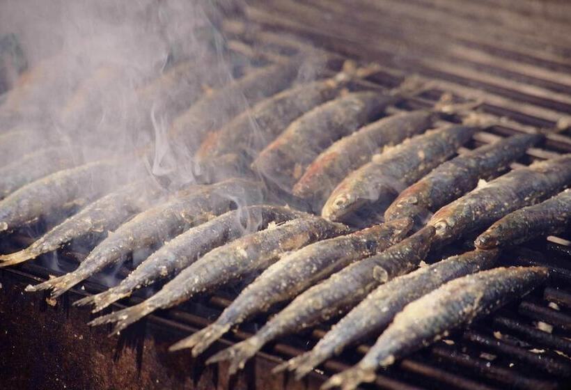 Пансион Villa Skula