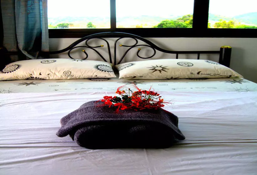 The Friendship - Hostel