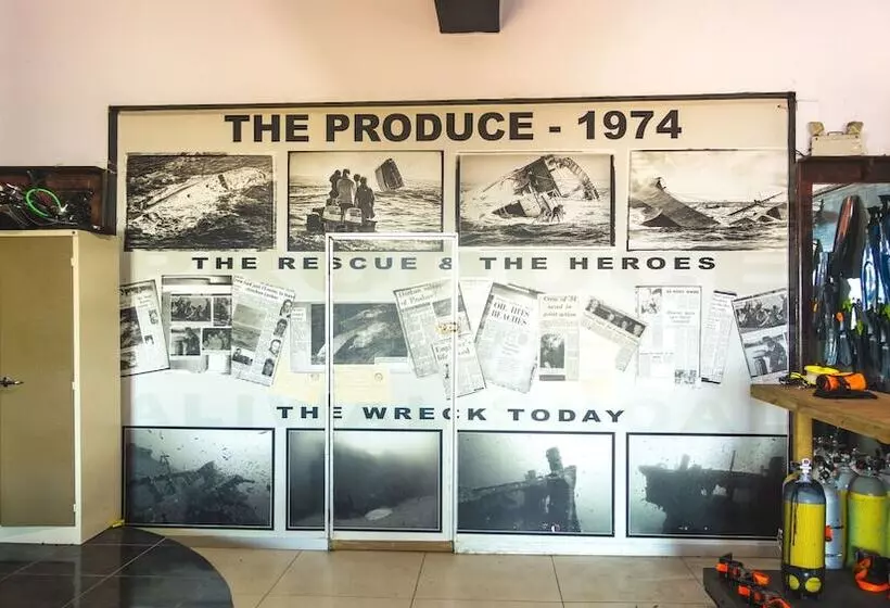 Отель Blue Ocean Dive Resort