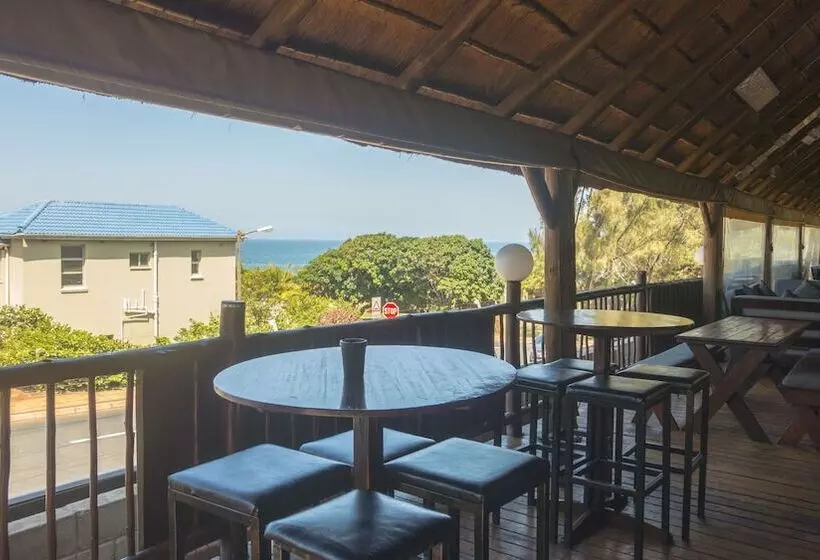 Отель Blue Ocean Dive Resort