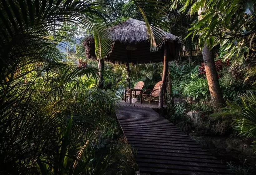 Yasmin Hill Longevity Resort Former Galavilla Boutique Hotel & Spa