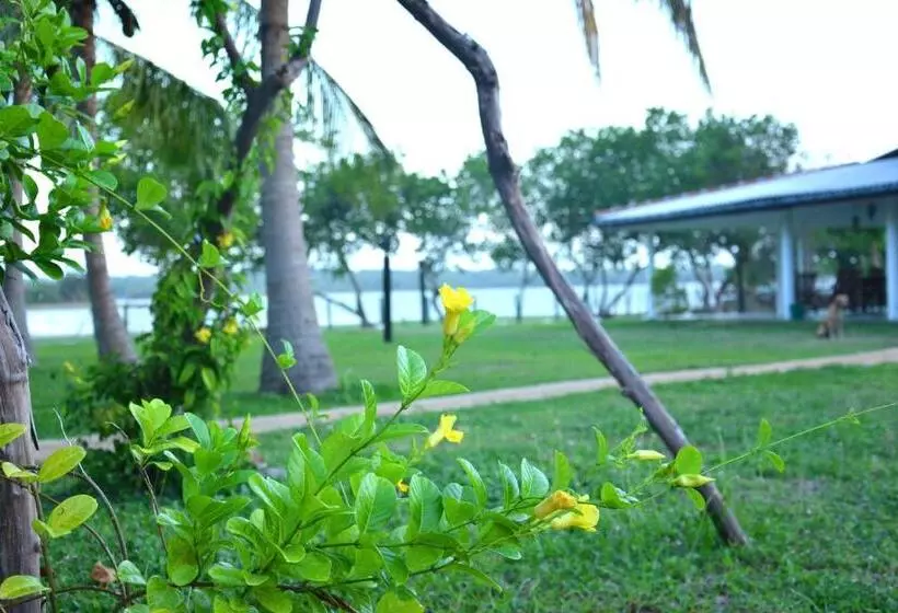 酒店 Serenity Lake Resort Yala