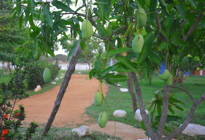 Hotel Serenity Lake Resort Yala