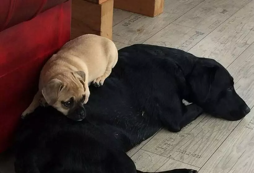 Пансион Barton Gate Farm Guesthouse