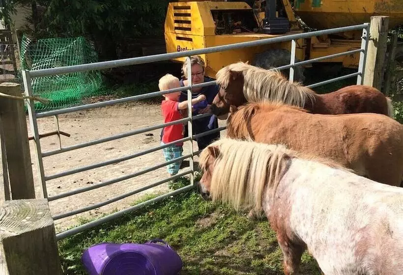 Пансион Barton Gate Farm Guesthouse