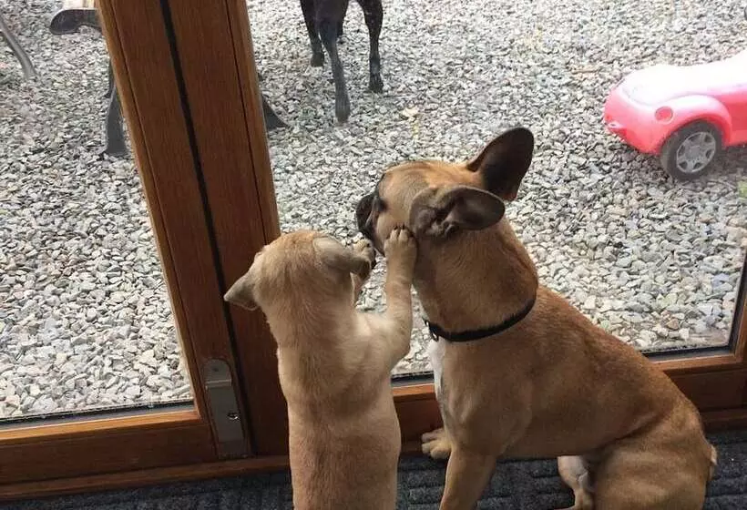 Пансион Barton Gate Farm Guesthouse