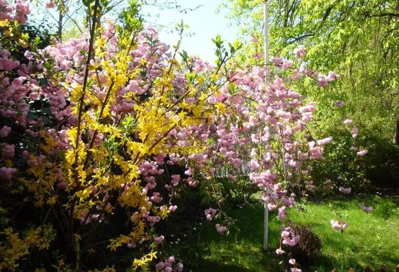 פנסיון Maison D Hôtes Alsace   4 Chambres D Hôte   Private Gästezimmer Elsass   Private Guest Rooms Alsace