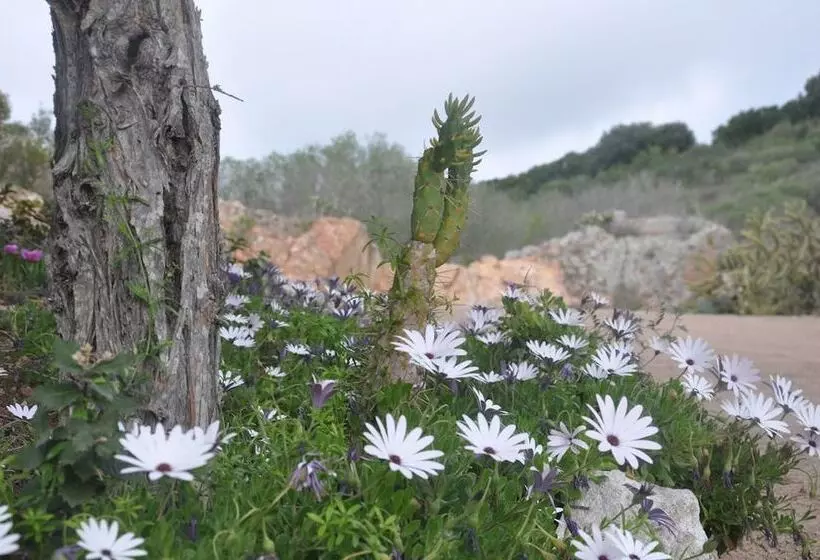 Residenssi Résidence Maora Village