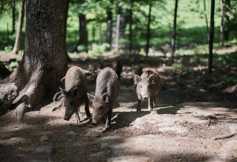 östermalma Vandrarhem