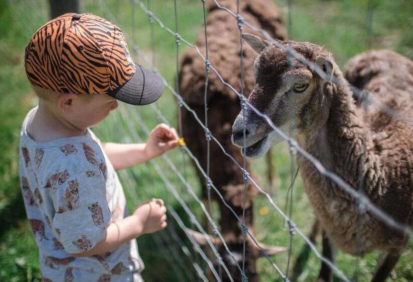 östermalma Vandrarhem