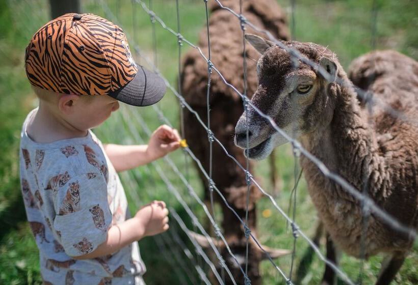 östermalma Vandrarhem