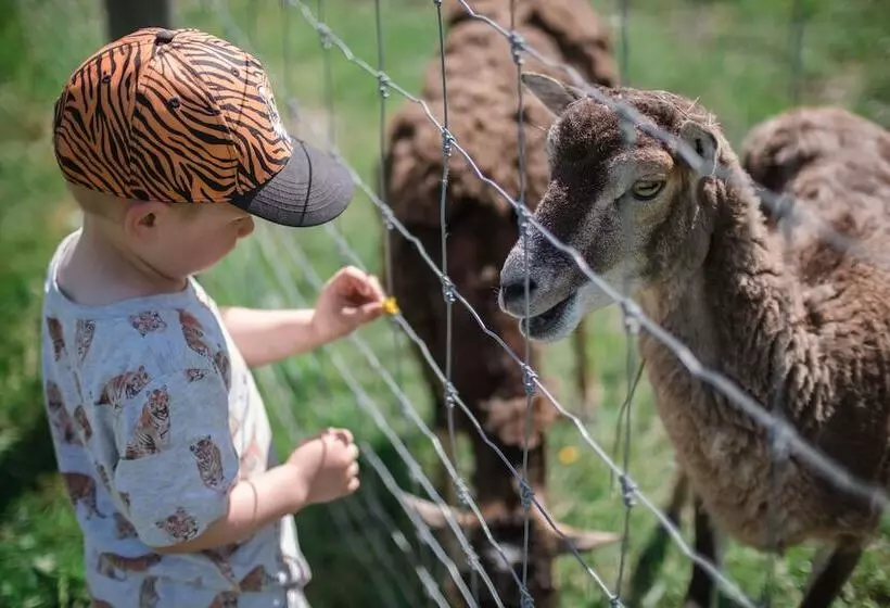 östermalma Vandrarhem