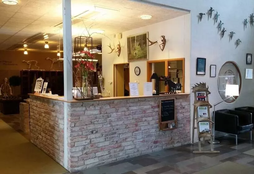 östermalma Vandrarhem