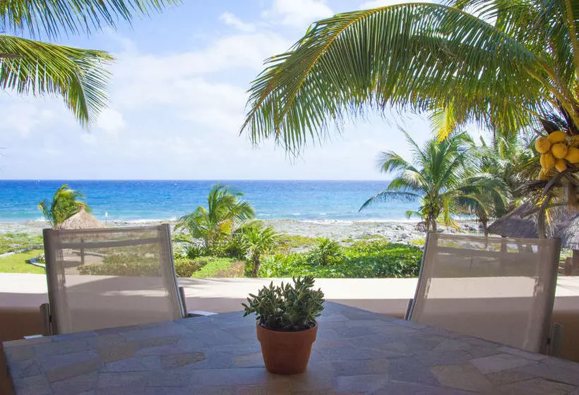 Ocean View Apartments By Homing Bird