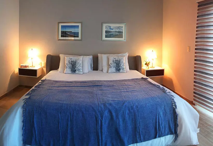 Ocean View Apartments By Homing Bird