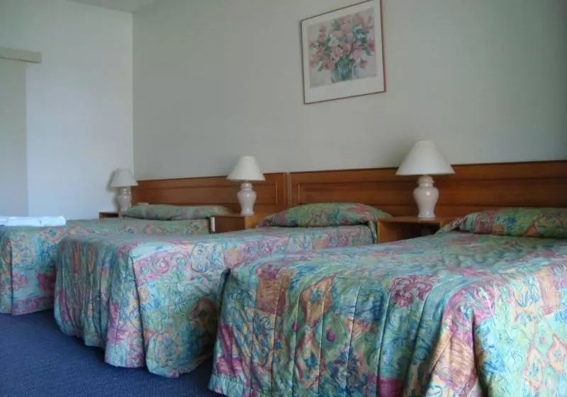 Отель Blakehurst Motor Inn