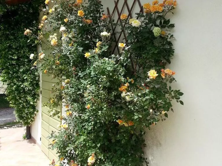 فندق Caterina Residence