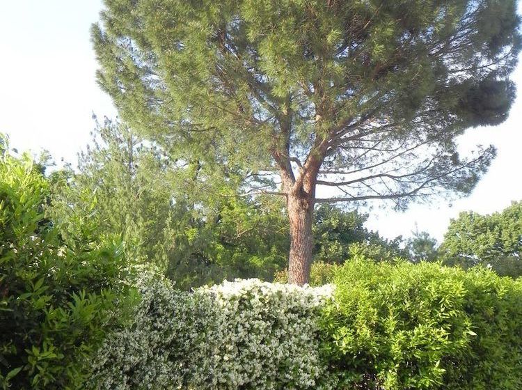 فندق Caterina Residence