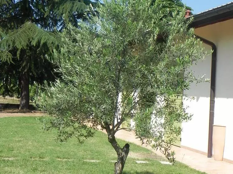 فندق Caterina Residence